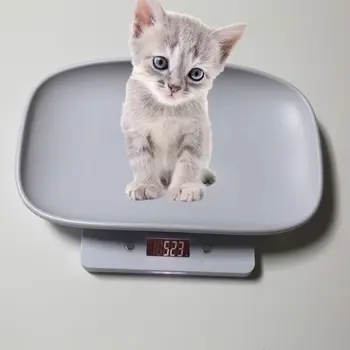 1g-10kg Mascota Perro Gato Animal Digital a Escala Bebé Escala de Peso (kg/oz/lb) pantalla LCD E7CB