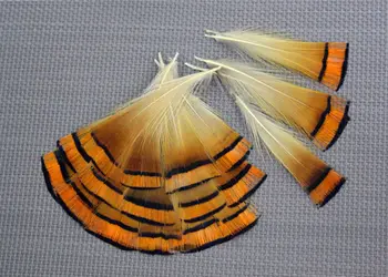 200pcs/lot 4-9 cm de color marrón natural golden pheasant tippet plumas plumaje para accesorios de la joyería de la confección de artesanías venta a granel