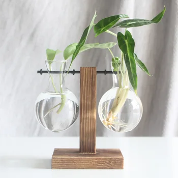 2020 Nueva bola de Cristal para cultivo hidropónico de plantas jarrón florero transparente jarrón marco de madera escritorio de vidrio de la planta de la casa del bonsai decoración