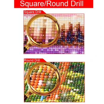 Cuadrado completo/Ronda de Perforación 5D BRICOLAJE Diamante de Color pajarera 3D el Bordado de punto de Cruz Mosaico Rhinestone Decoración HYY