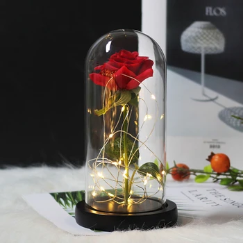 El Día de san valentín regalo Romántico y Rosa de la bella y La ia se levantó en una cúpula de cristal Eterno rojo de la rosa rose y Rose Belle Rose