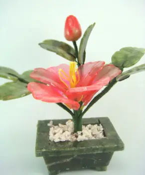 Feng Shui De La Peonía Flor De La Planta Para El Amor, La Riqueza