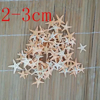 HappyKiss 100pcs 1-2cm de 2-3cm de Mini Estrellas de mar de Artesanía Decoración Natural de la artesanía, las Estrellas de Mar de BRICOLAJE casa de Playa de la Boda Decoración caliente de nuevo