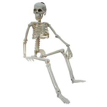 La decoración del coche de réplicas de Activos esqueleto Humano Modelo de la Anatomía del Esqueleto el Esqueleto de la educación Médica Fiesta de Halloween Decoración de Esqueleto