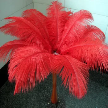Mayorista 10 PCS roja hermosa pluma de avestruz 35-40 cm / 14 y 16 pulgadas