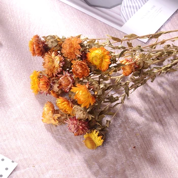 Naturalmente Secas Feliz Crisantemo Artificial Ramo de Flores de la Decoración Floral Falso Flor de la Margarita de BRICOLAJE Garland Casa de la Boda Decoración