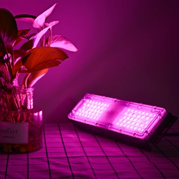 Warmhouse LED de la Planta de la Lámpara de Espectro Completo 220V 60W SMD2835 Chip Fito Luz Para la Planta de la Flor de la Siembra Crecer de Iluminación con el equipo de la ejecución